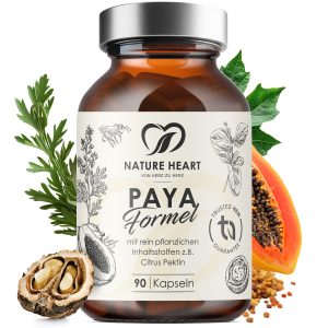 Paya Formel