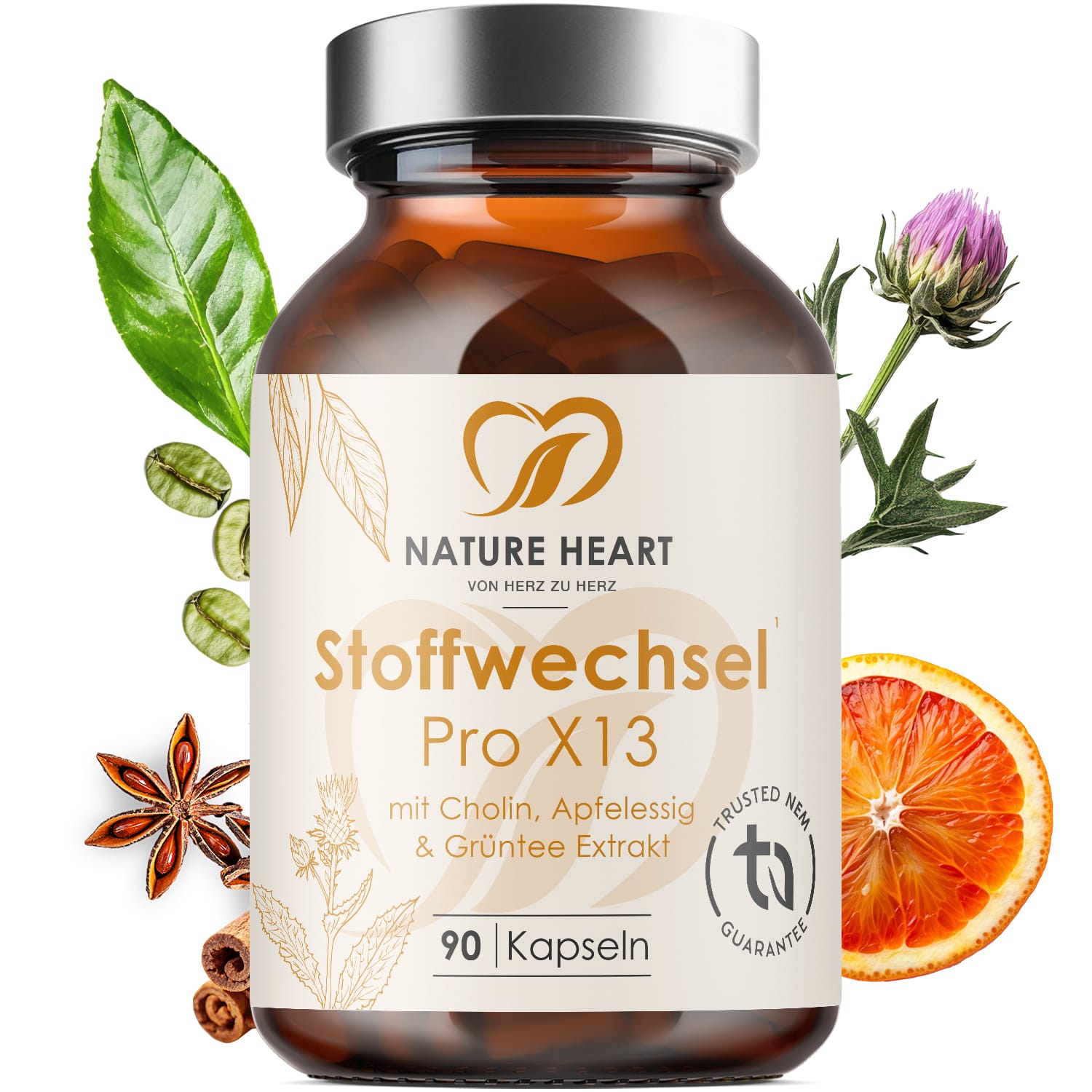 Stoffwechsel Pro X13 - Kapseln